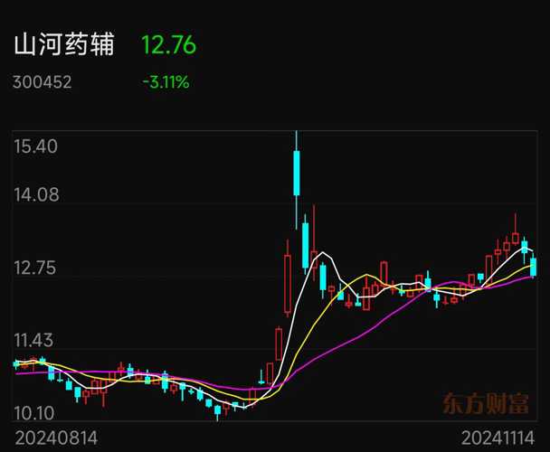 山河藥輔股票，投資潛力與市場前景分析，山河藥輔股票投資潛力與市場前景深度解析