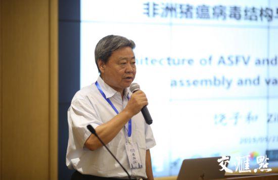 劍橋科技股票行情深度解析，劍橋科技股票行情全面解析
